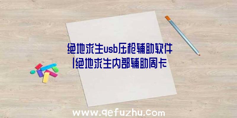 「绝地求生usb压枪辅助软件」|绝地求生内部辅助周卡